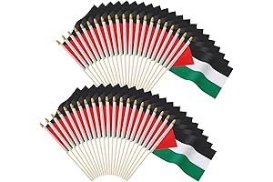Augshy 65 Pack Small Palestine Flags for Sale