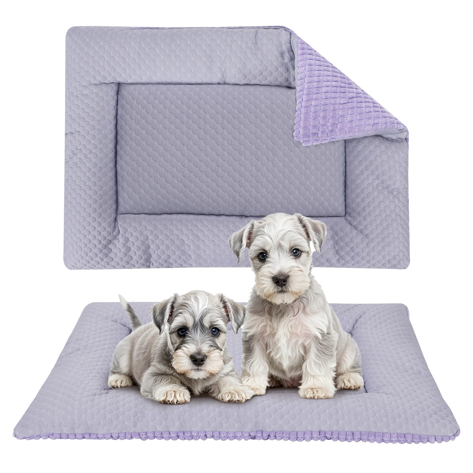 BVAGSS Dog Bed Mat,Crate Pad Reversible,Soft Kennel Pad, Washable Crate Mat (Cool and Warm),Pet Sleeping Mattress for Small Medium Dogs XH080 (45x33cm,Corn Velvet Purple)