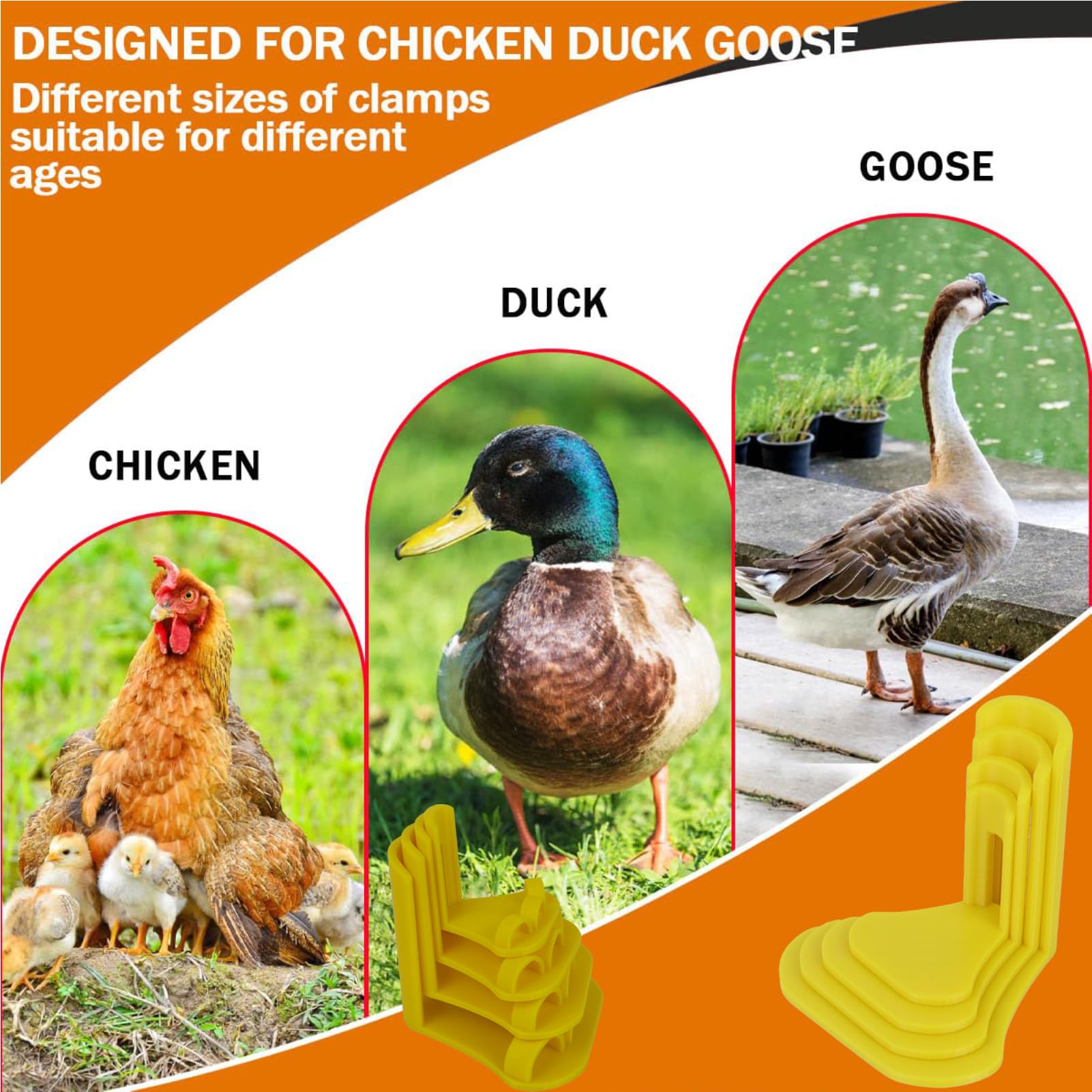 Attelle de fixation pour poules, canards et pattes d'oie - Attelle pour poules à différents stades de croissance - 10 bandes de soutien réglables pour coqs, pieds cassés, volailles, jeunes oiseaux