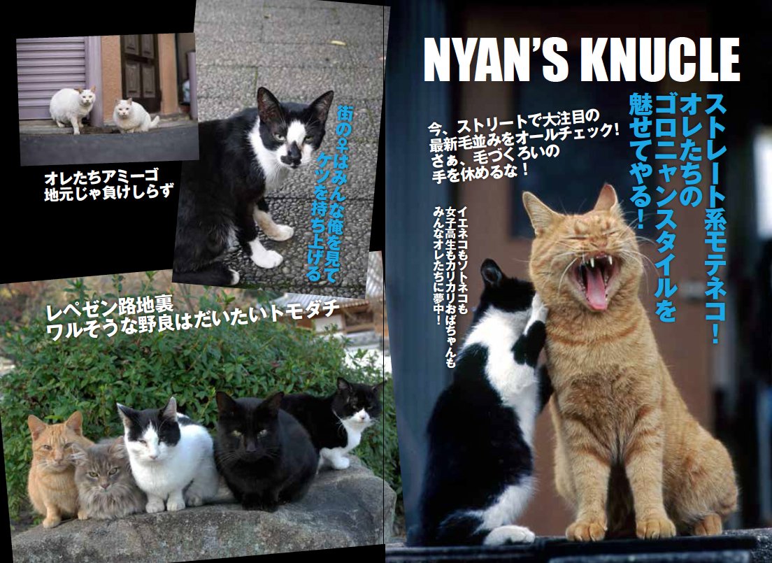 ワル猫ブルース 日本悪にゃん愛好会 本 通販 Amazon