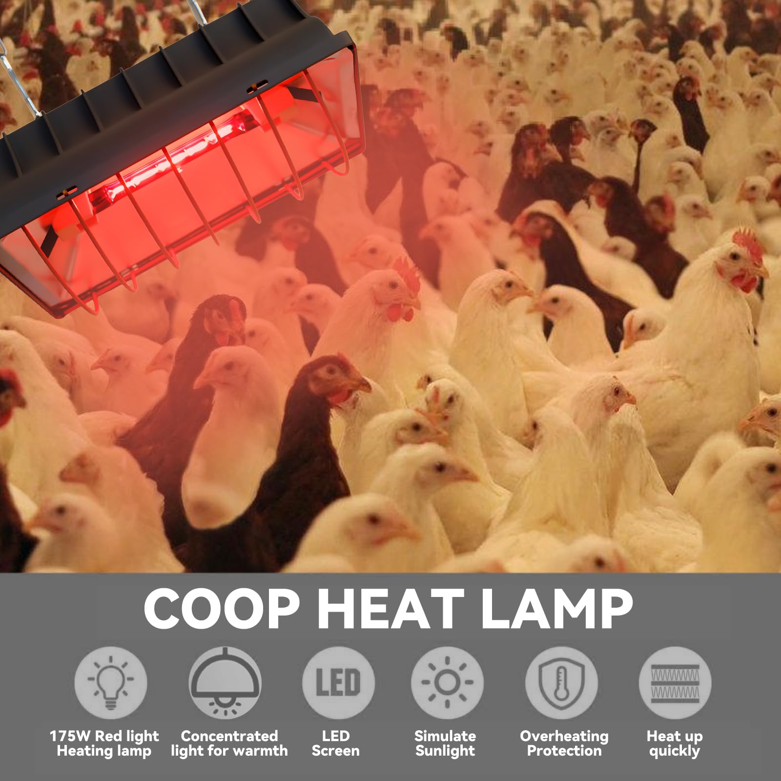 Lámpara de luz roja de 175 W, para gallinero, con cable de 1,8 metros, lámpara de calor para pollitos con interruptor, lámpara de calor para pollitos