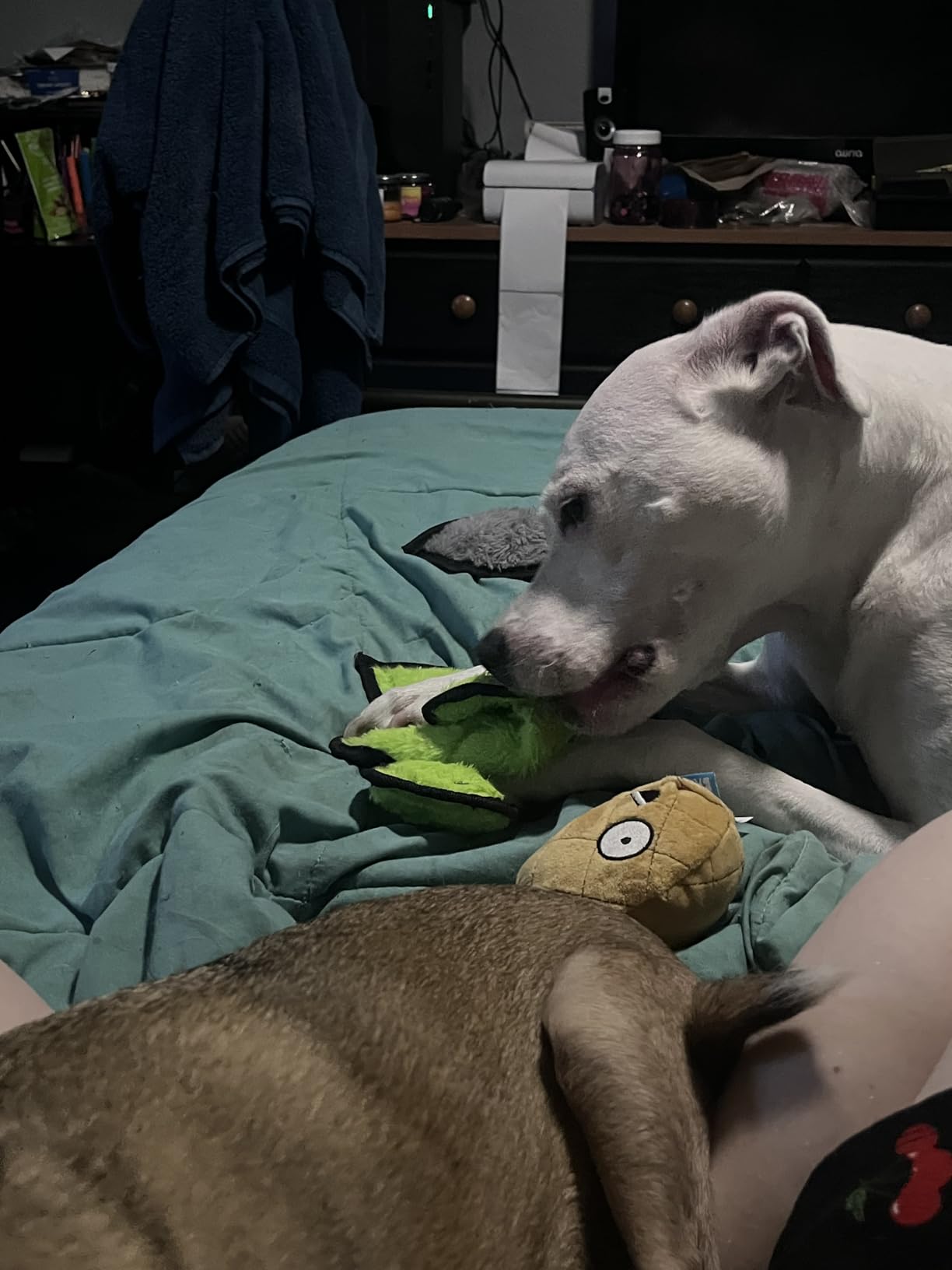 SHARLOVY No Stuffing Dog Toys Crinkle Squeaky, Long Lasting Chews for Aggressive, Durable Plush Dog Puppy Chew Toys for Teething, with 6 Tough Layers for Small Medium Large Breed