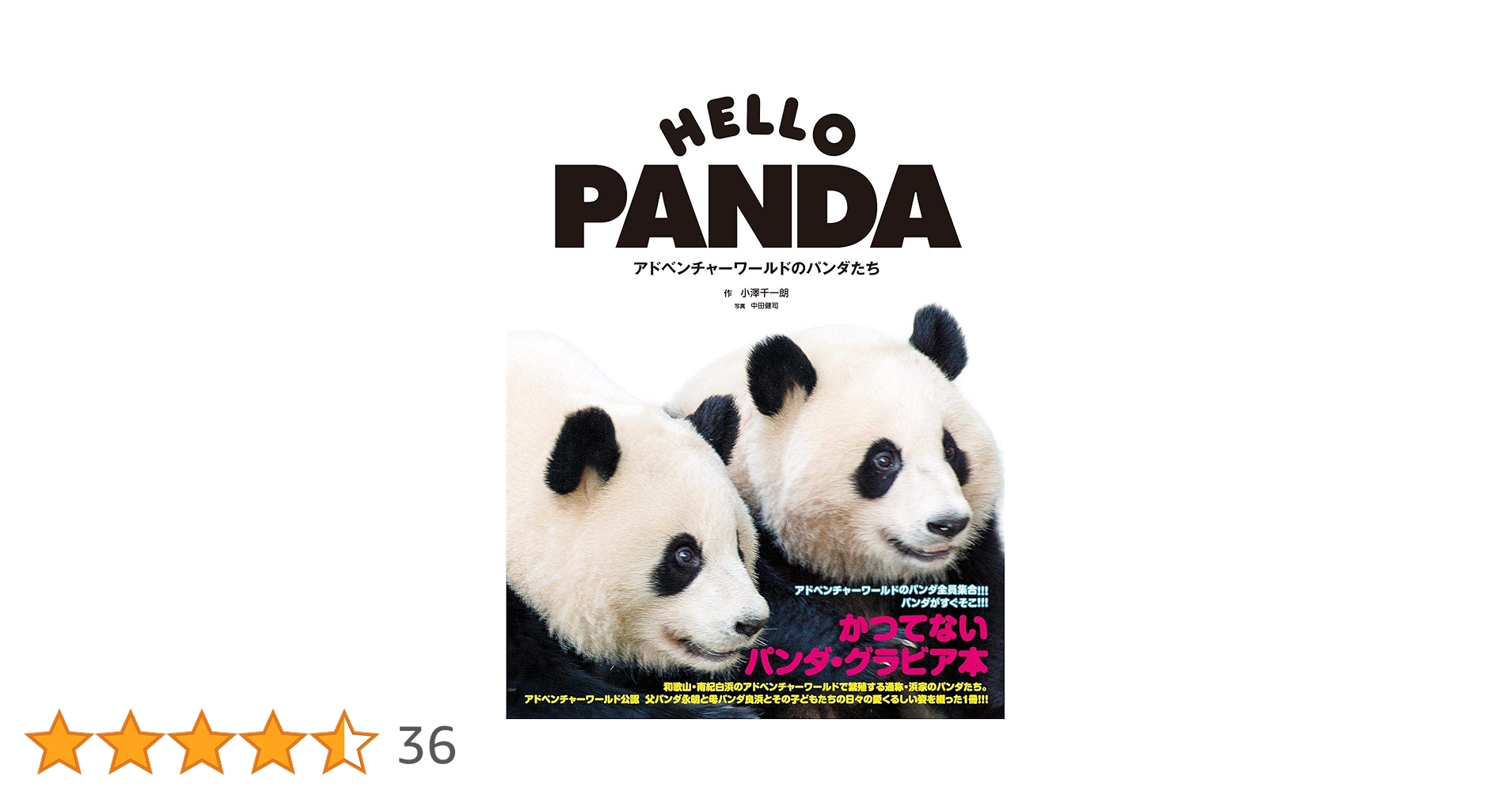 【非売品】アドベンチャーワールド　双子パンダ DVD 写真 A4フレーム レア 2010531000538_10cc961c34c245f8