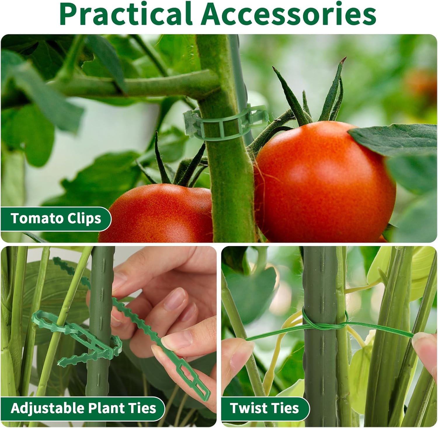 ROADPLUM 2 Pack 48" Tomato Cage for Garden, Heavy Duty Adjustable Plastic Coated Steel Pipe Tomato Stakes Trellis Plant Cages for Vegetable, Fruit, Flower, Rose Vine Climbing Plants