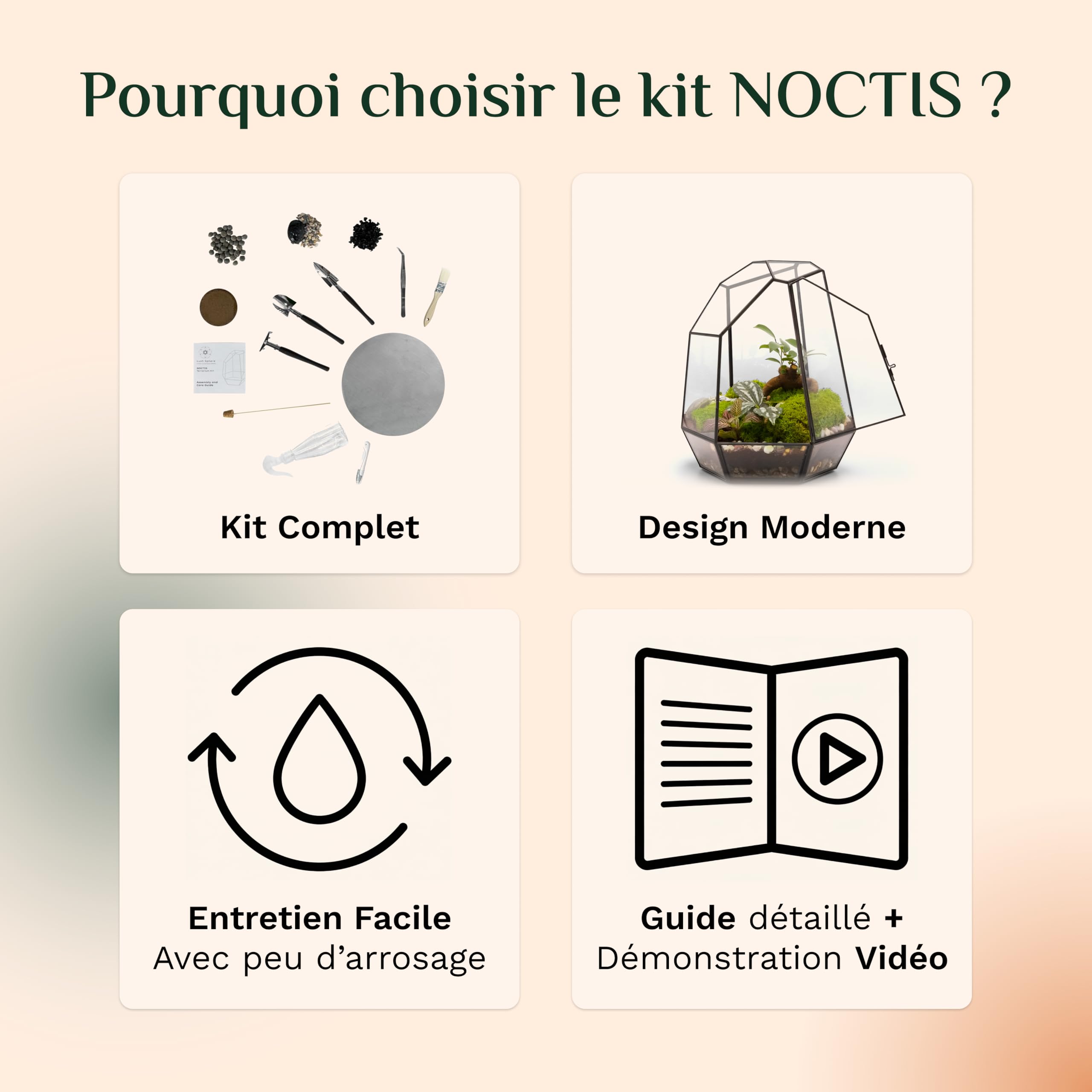 Noctis - Kit de Terrarium Complet DIY pour Plantes avec Substrat et 10 Outils Inclus - Structure en Verre - Design Géométrique - Écosystème Autonome, Coffret Créatif (sans Plantes)