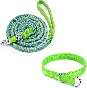 Reflective Dog Leash and Reflective Dog Choke Collar for Strong Small Pets Medium Dogs Training Walking