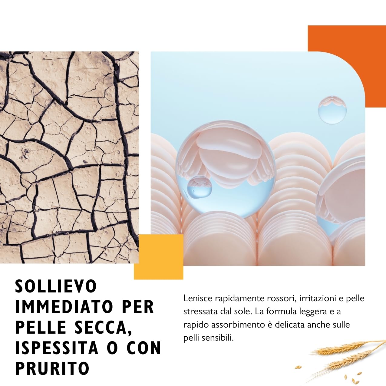 Bioderm Vitamina E Complex Olio Spray – Olio Nutriente e Lenitivo con Vitamina E | Idratante Antiossidante per Pelle Secca, Sensibile o Irritata | Uso Viso, Corpo (125ml)