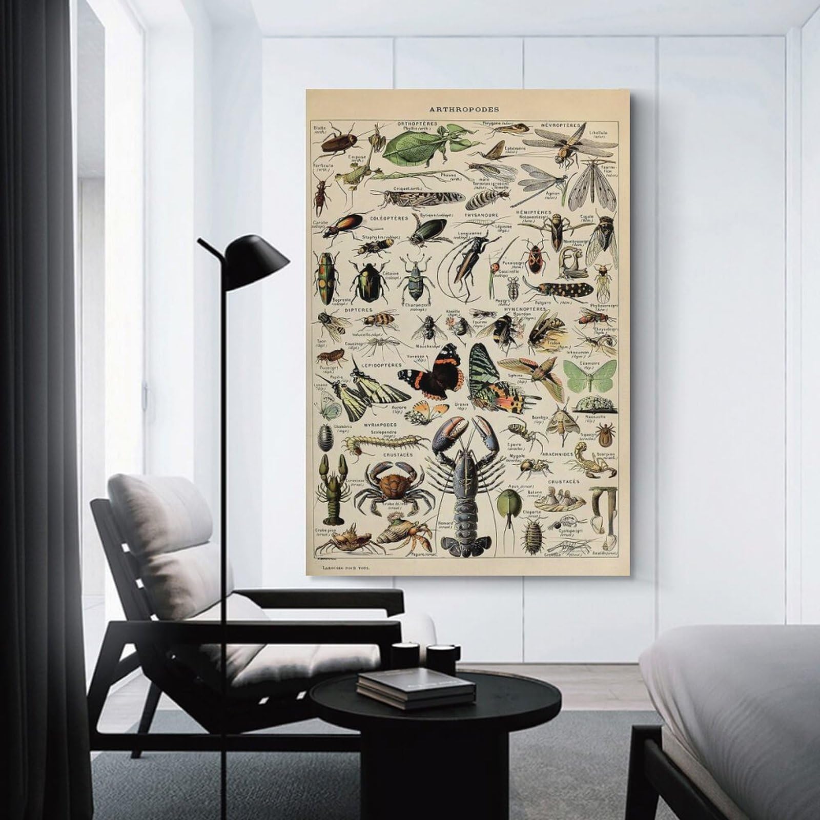 Junmoney Adolphe Millot Arthropods Canvas Wall Decor, 24x36inch(60x90cm), for Apartment Walls, Studios Or Work Areas, Decorative Canvas Decor for Home Updates