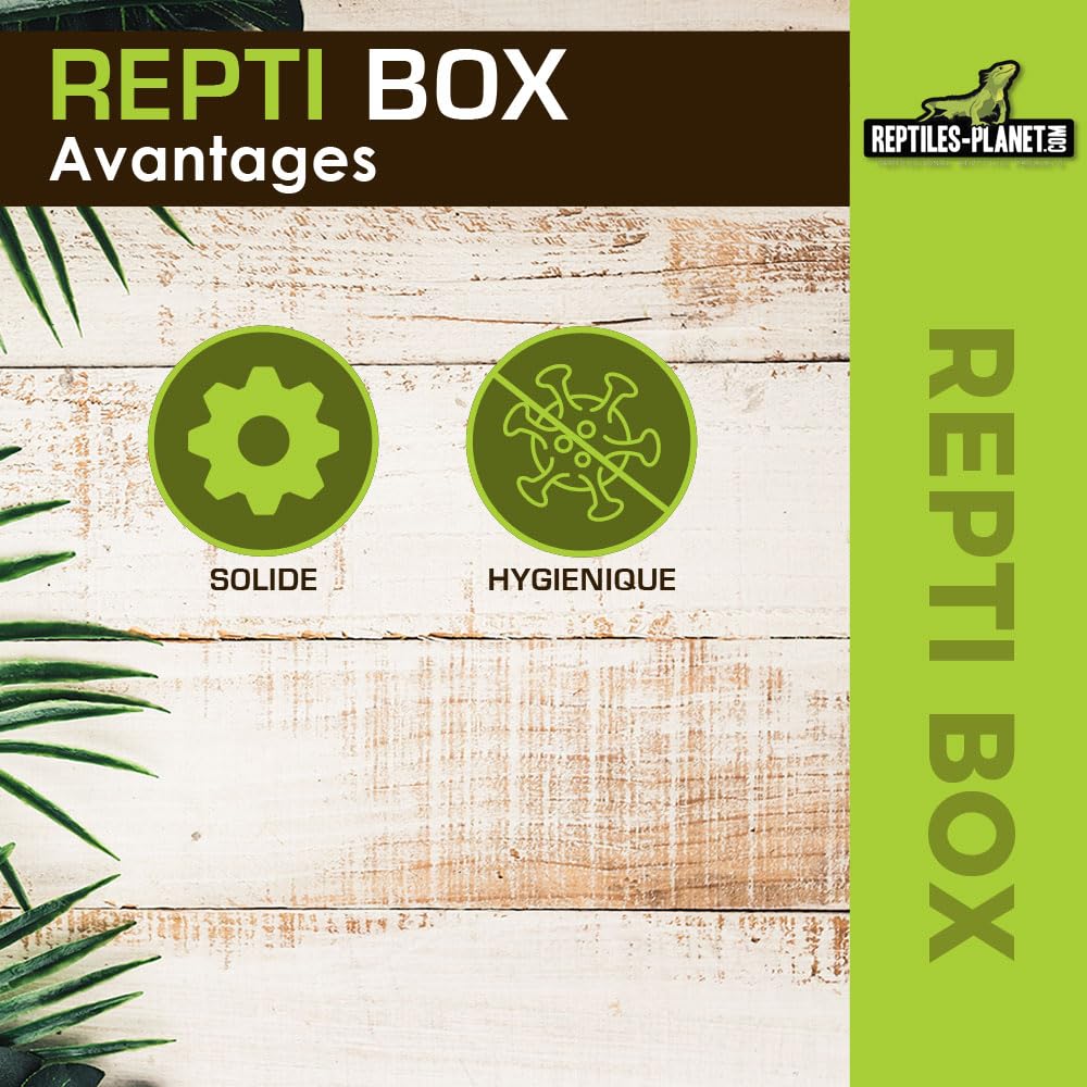 Reptiles Planet Repti Box XL Boite de Transport 42 x 26 x 16 cm
