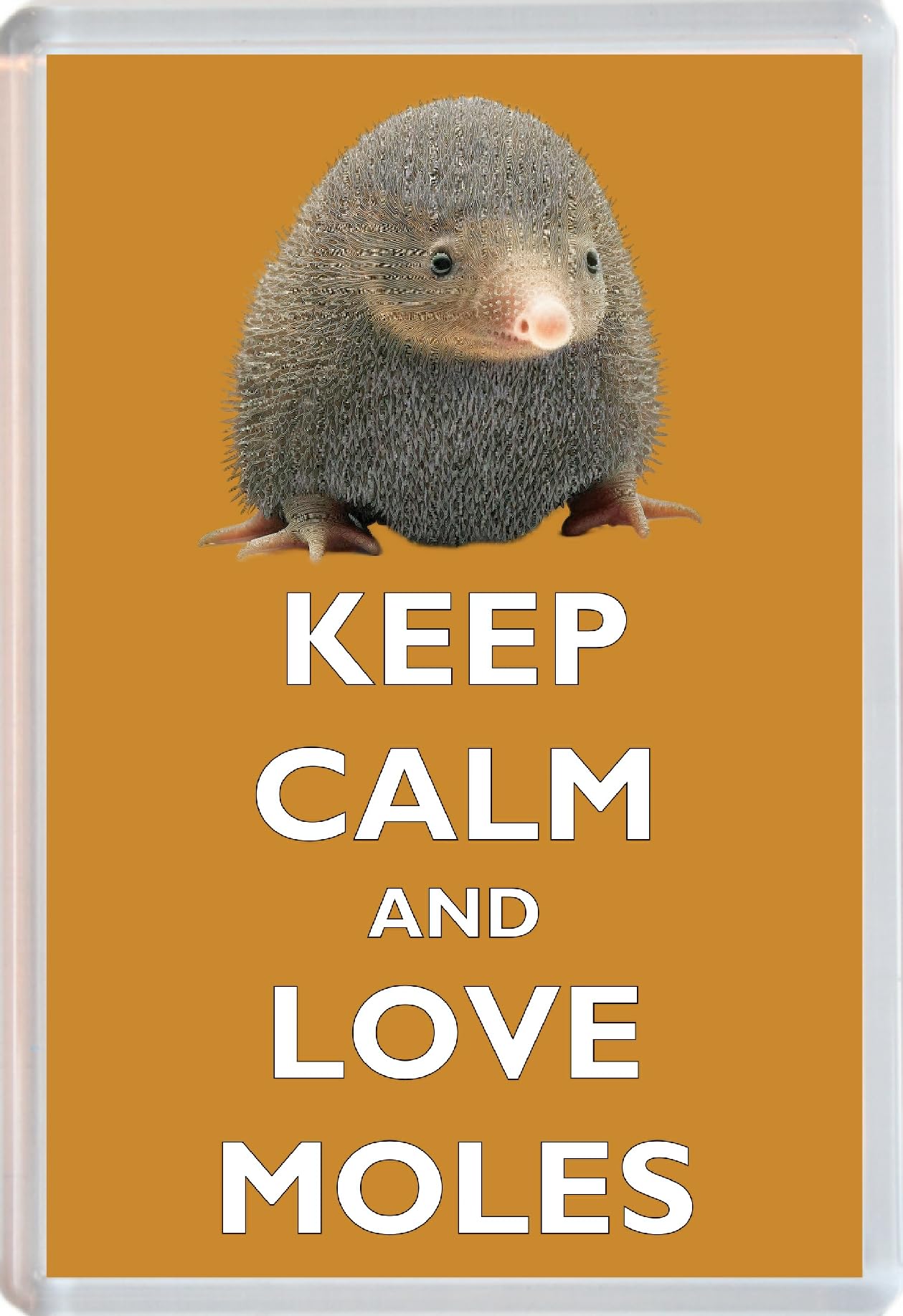 Keep Calm and Love Moles - Jumbo Fridge Magnet 96 x 67mm