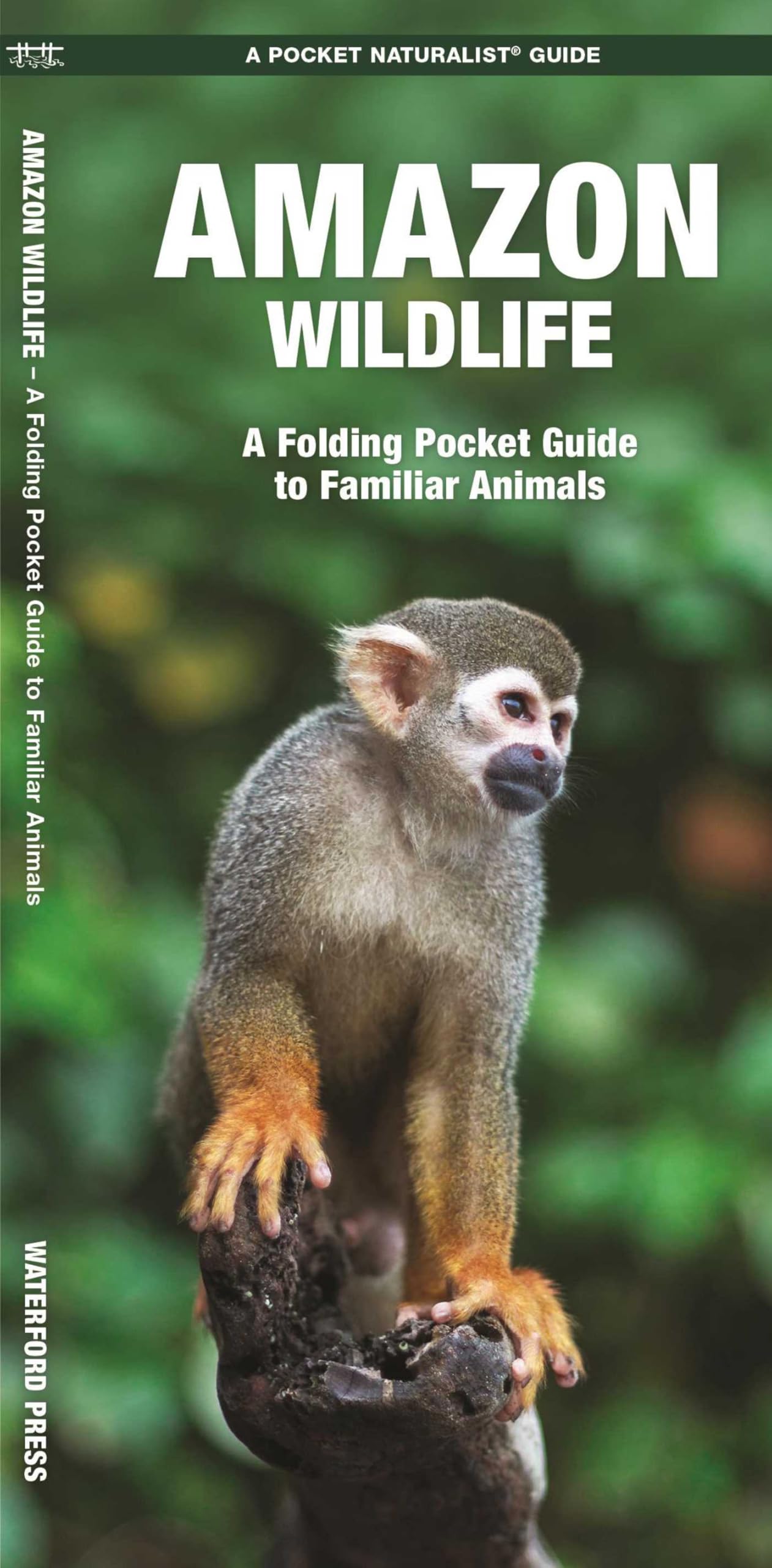 Amazon Wildlife: A Waterproof Pocket Guide to Familiar Species (A Pocket Naturalist Guide) (Pocket Naturalist Guide Series)