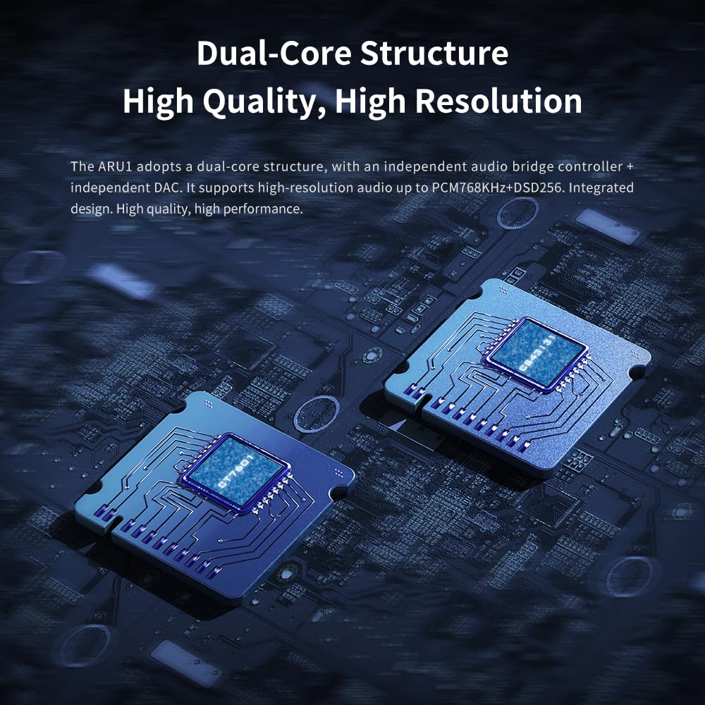 Internal view of the Aune ARU1's dual-core DAC structure