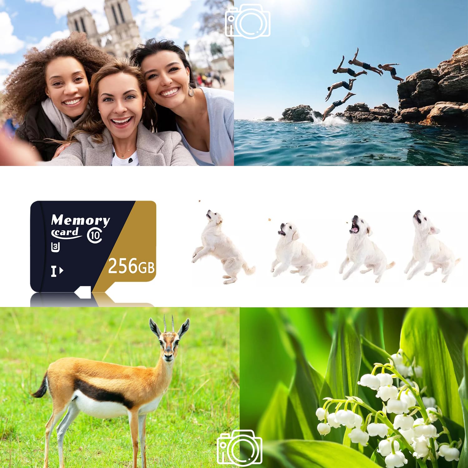 Carte TF 256Go, Carte mémoire UHD 4K, V30, UHS-I, Classe 10, U3, V30, Vitesse de Lecture Jusqu’à 100 MB/S, Carte Micro pour Smartphones, caméras d’Action -ZG256Go