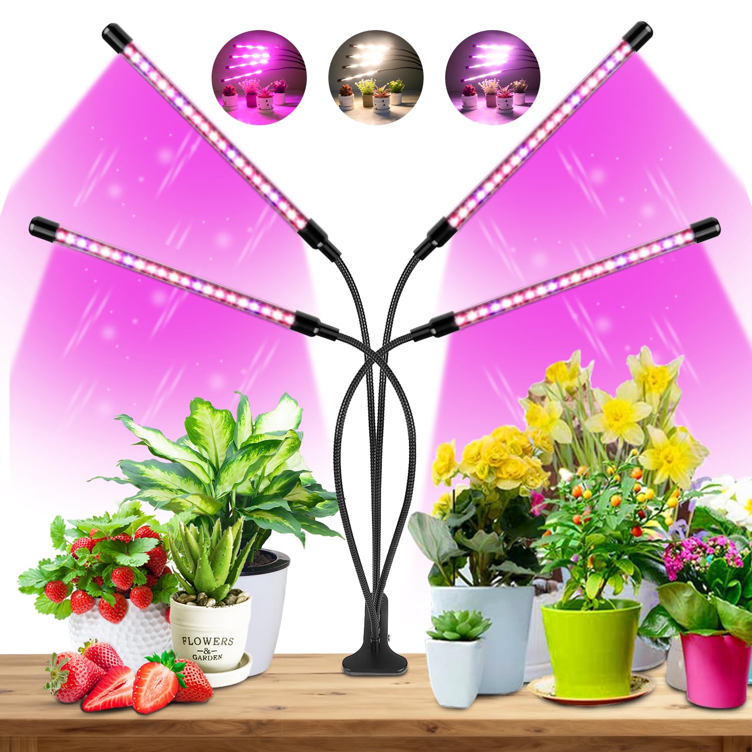 WOLEZEK Led Pflanzenlampe, Pflanzenlicht, 80 LEDs Pflanzenleuchte Rot & Blau Vollspektrum Wachsenlicht für Zimmerpflanzen mit 6/12/16H Zeitschaltuhr, 3 Arten von Modus & 5 Lichtstärken für Gemüse