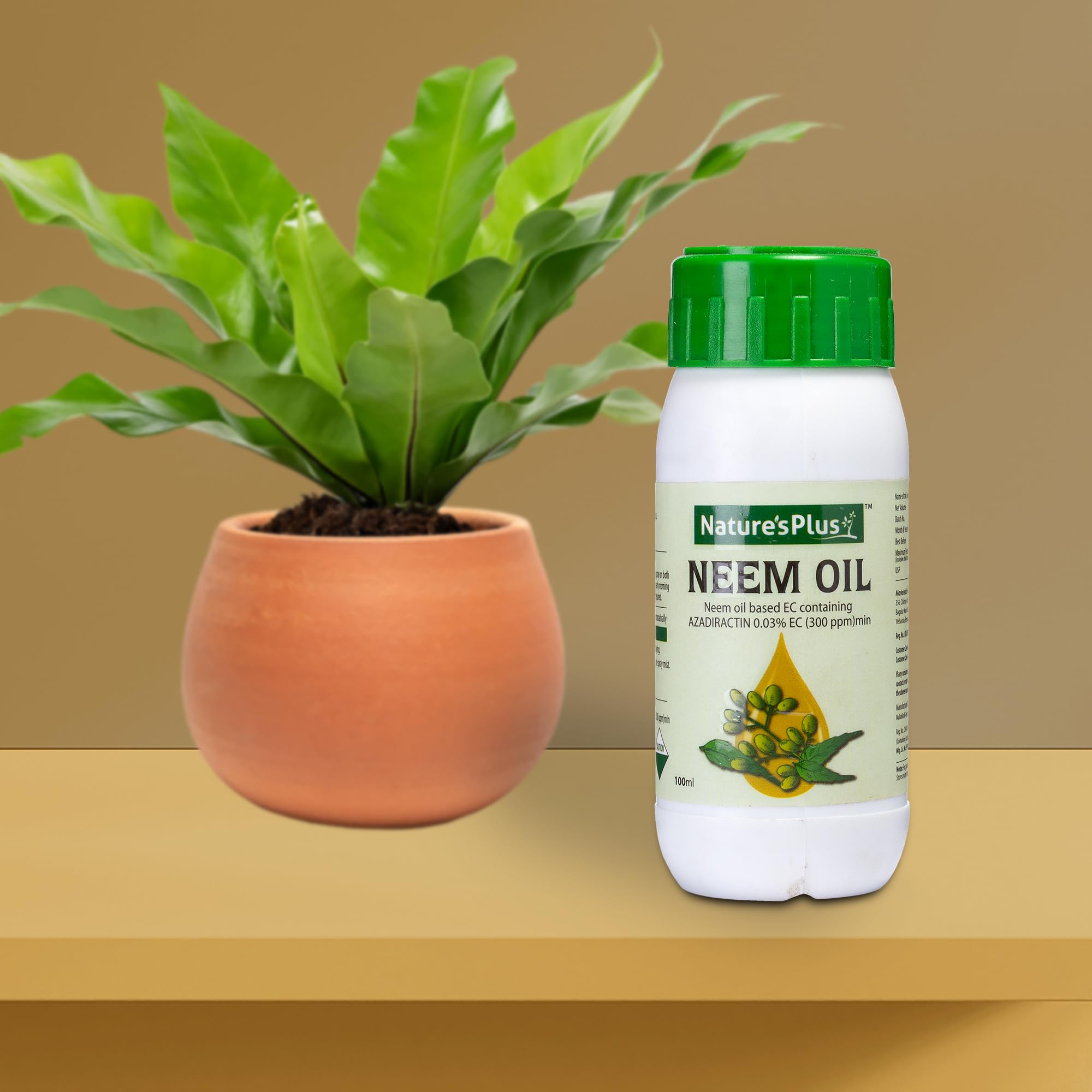 Natures Plus Neem Oil Liquid 100ML|Plant Guard Oil Spray for Plants|protect from pests|Fungus Repellent Spray| human & Pet safe-image-47