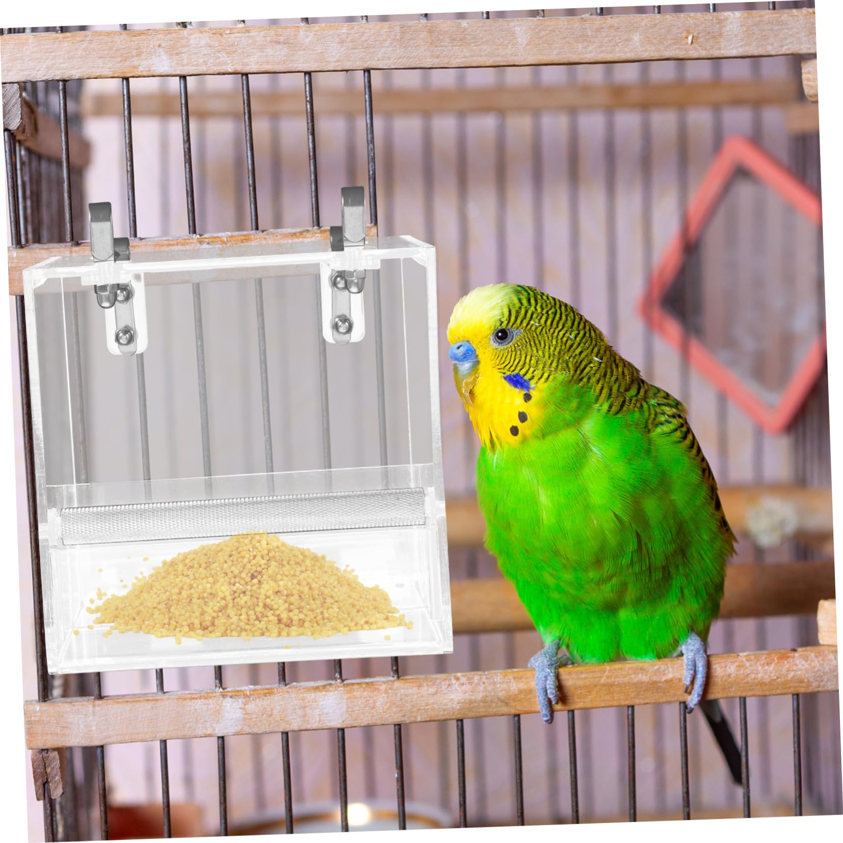 Mangeoire Automatique pour Oiseaux Bol De Nourriture pour Perroquets Accessoire De Cage s