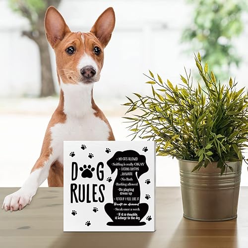 Miniatura 3 de Divertida decoración de escritorio para amantes de los perros, reglas de perro, decoración de perro para la oficina en casa, decoración