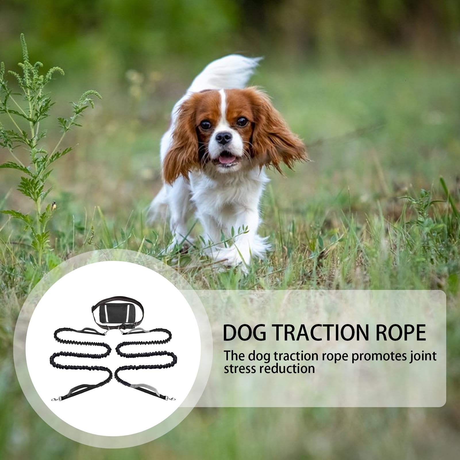 Guinzaglio Con Corda Cani Corda Da Cani Regolabile E Riflettente | Guinzaglio Da Passeggio Con Ideale Per Corsa, Escursionismo, Campeggio, Ciclismo, Attività All'Aperto, Città E Viaggi