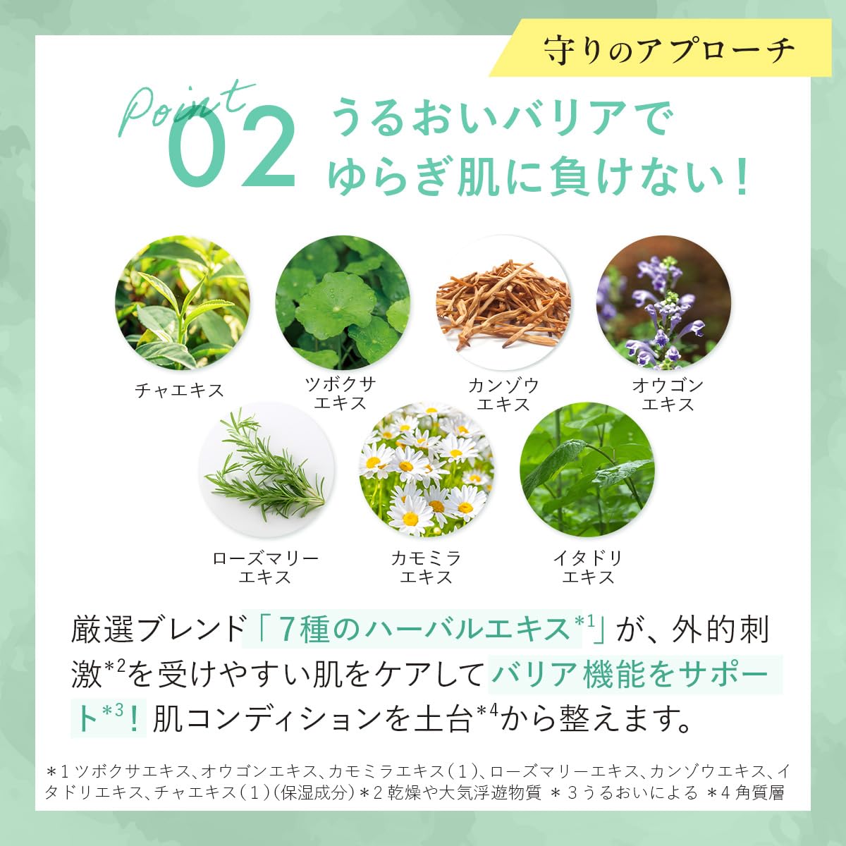 Amazon.co.jp: Canadel Premier Barrier Fix All-in-One 2.0 oz (58 g