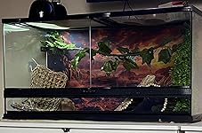 Review Image by Linette Linette