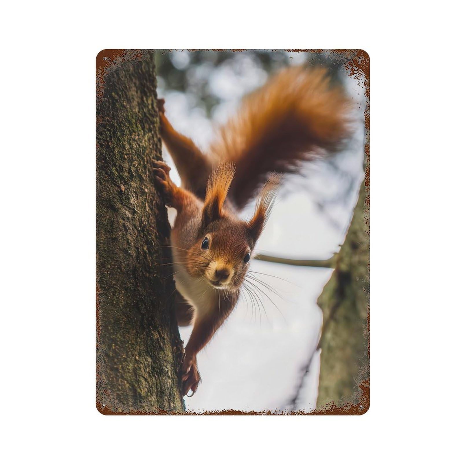 Squirrel Climbing A Tree Retro Metal Sign 15.7"x11.8", Ideal for Cafe, Home Bar And Lounge Decor