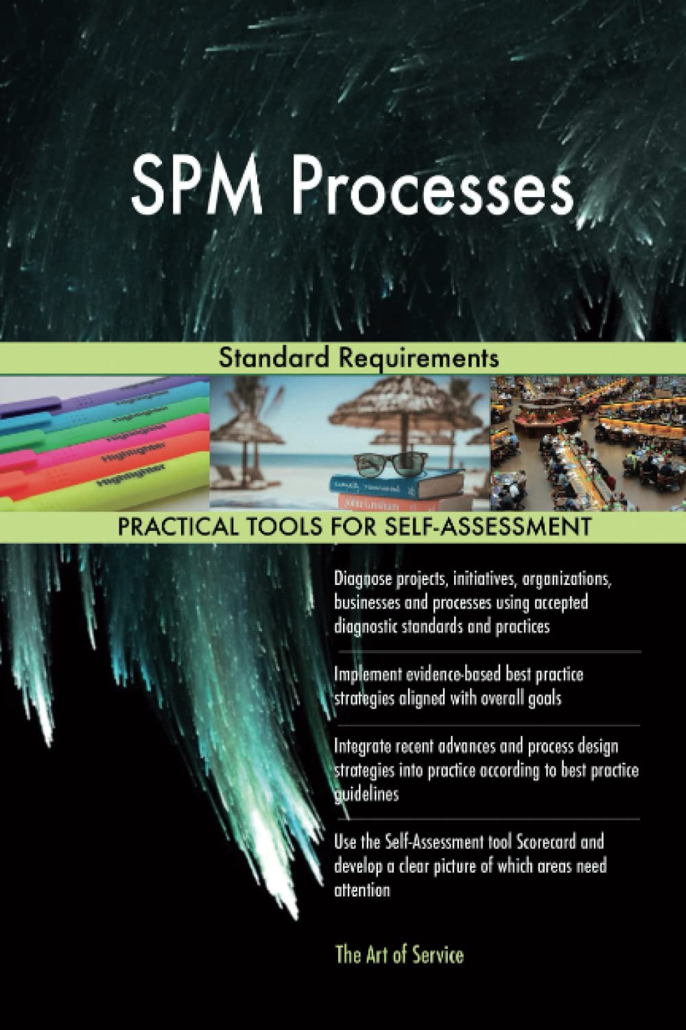 SPM Processes Standard Requirements