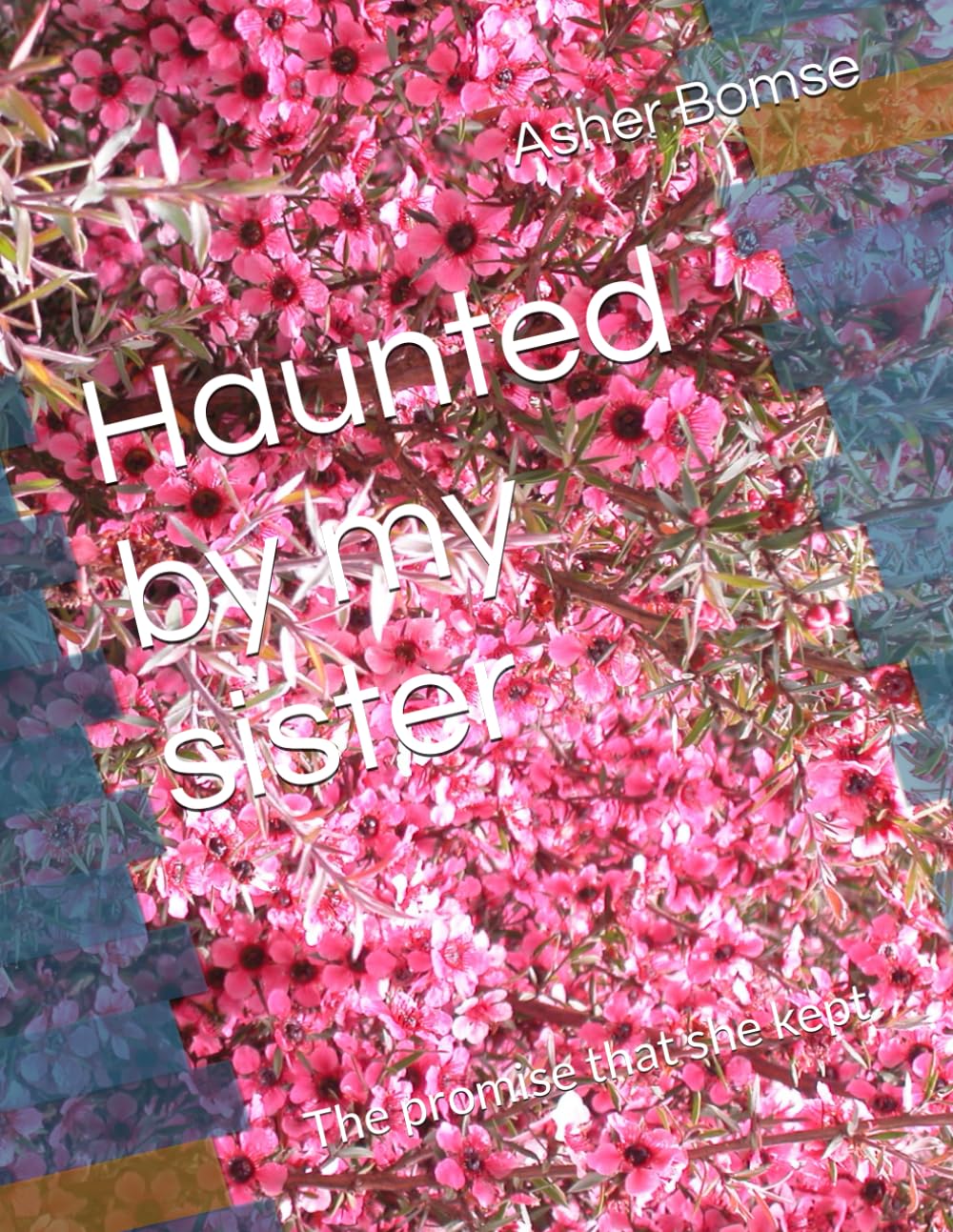 Haunted by my sister: The promise that she kept