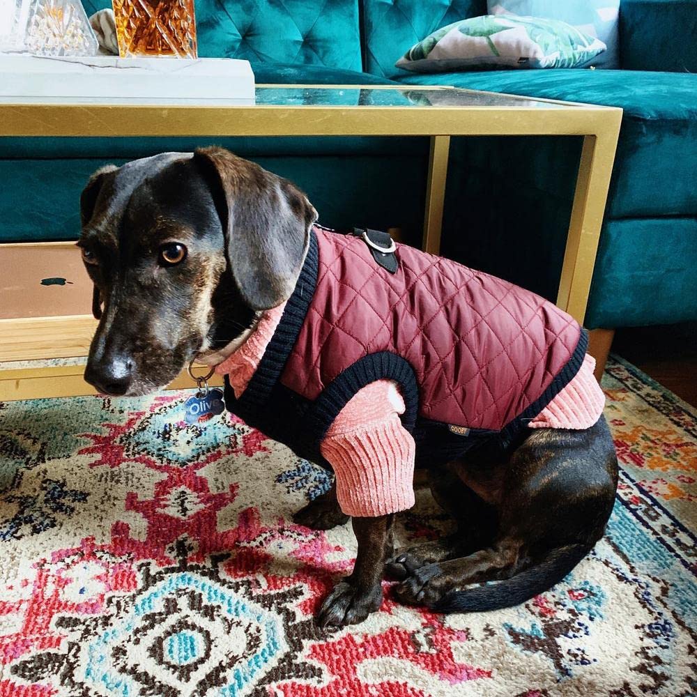 Gooby Fashion Acolchado Bomber Perro Chaleco con Pecho elástica