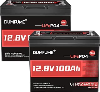 2 Packs 12V 100Ah MINI LiFePO4 Lithium Battery,1280Wh BCI Group 24 Lithium Iron Phosphate Battery 100A BMS 6000+ Cycles,Ideal For RV,Solar Off-Grid Systems,Backup