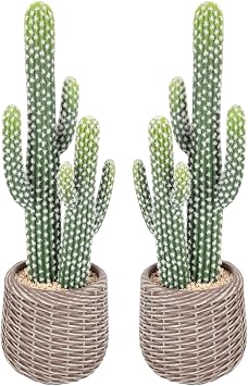 Nafresh Tall UV Resistant Faux Cactus Plant in Brown Woven Planter, 25in Realistic Texture Tall Fake Plant, Artificial Cactus Indoor Outdoor for Home Office Living Room Bedroom Porch Decor, 2 Pack