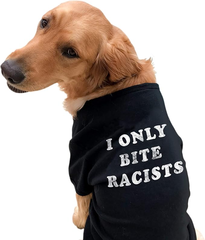 basic becky t shirts