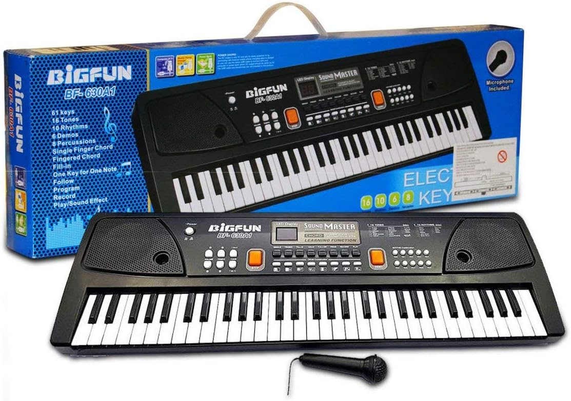 BIGFUN 61 Keys Big Fun Musical Electronic Keyboard Piano Organ with Microphone (Black)