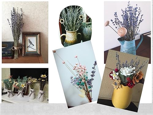 Miniatura 5 de TooGet Paquetes de 200 tallos ultra azules secos de lavanda (16 a 18 pulgadas de largo) para decoración del hogar, manualidades, regalo, boda o