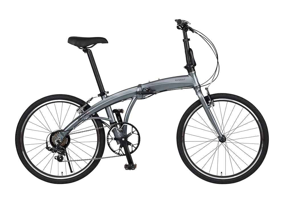 Amazon | RENAULT(ルノー) INITIAL247(AL-FDB247) グレー 軽量