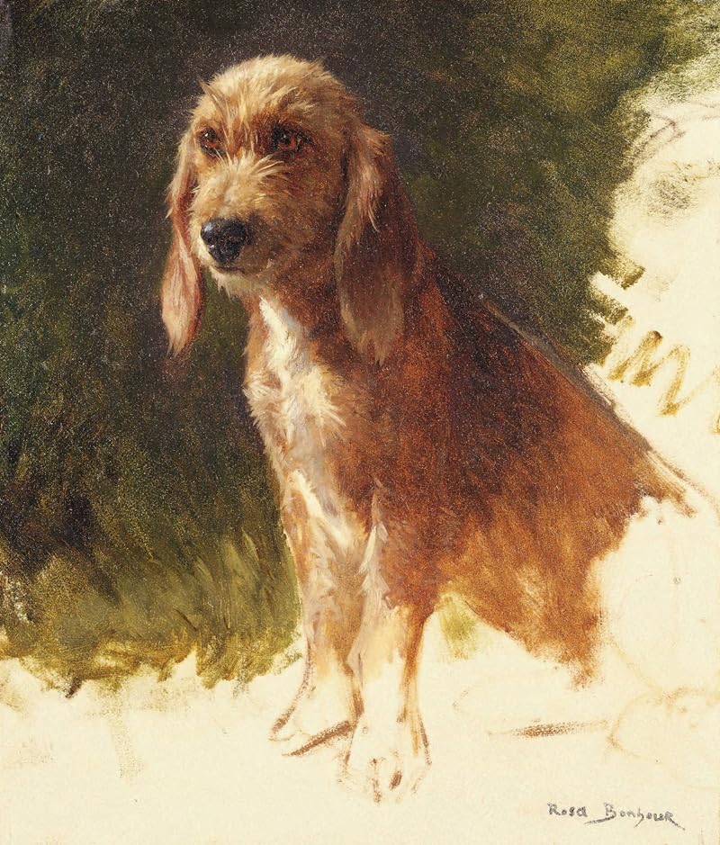Amazon.com: Study of a Dog (1860s) Poster Print by Rosa Bonheur