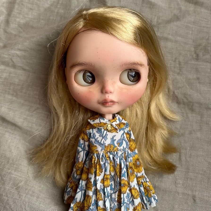 有名作家様　カスタム　ブライス Amazon.co.jp: 人気有名作家様カスタムブライス Blythe ネオ