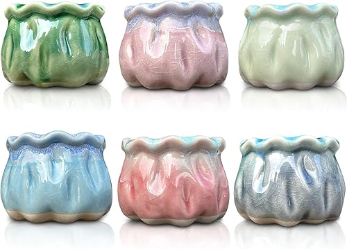 Miniatura 1 de Jubiluxor Juego de 6 macetas pequeñas de cerámica con diseño de grietas y agujeros de drenaje, perfectas para decoración de interiores y jardines,