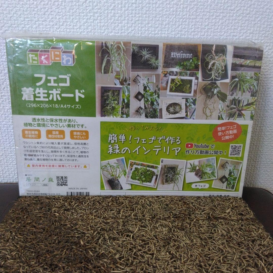 キングダム　アクリルボード　当選通知書付き キングダムアクリルボード当選通知書付き