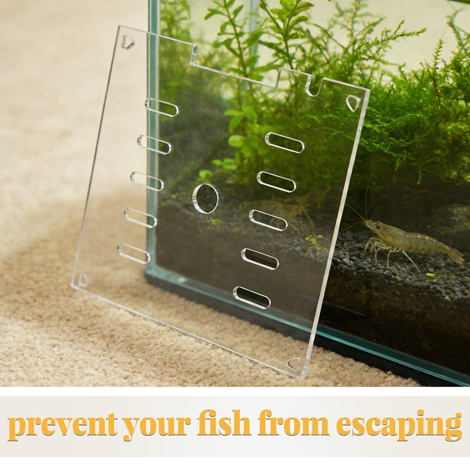 ARTIBETTER Couvercle en Acrylique Transparent 20x20 Cm pour Aquarium, Couvercle de Protection Anti-Saut Carré avec Grille, Accessoire pour Poissons, Crevettes et Tortues Aquatiques