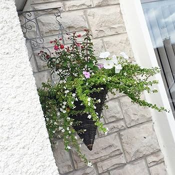 コーン型壁掛けバスケット 2個セット WBR08-25】【吊り下げ】 ココナッツハンギングバスケット(コーン