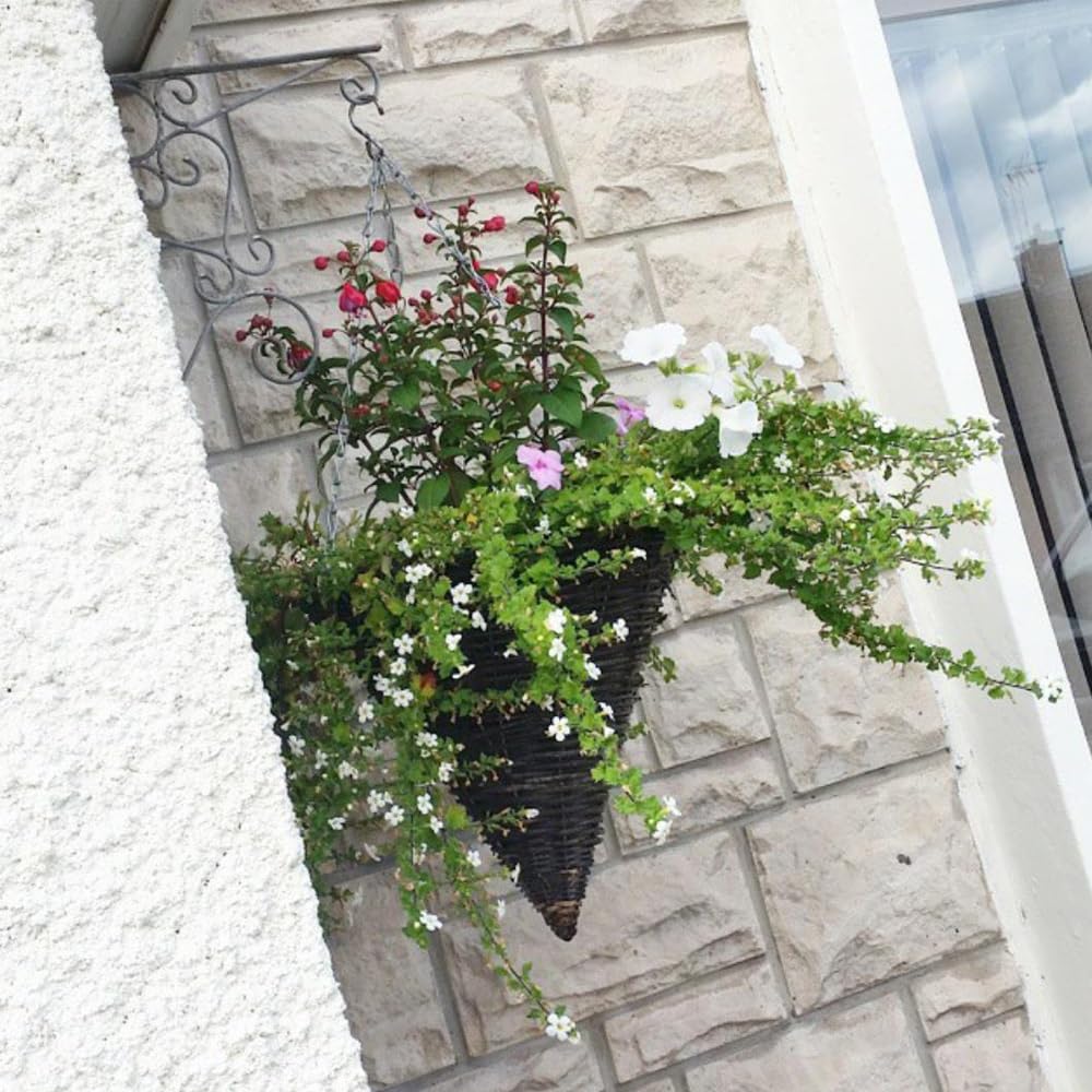 Amazon｜コーンガーデンハンギングバスケット 8インチ/10インチ/12