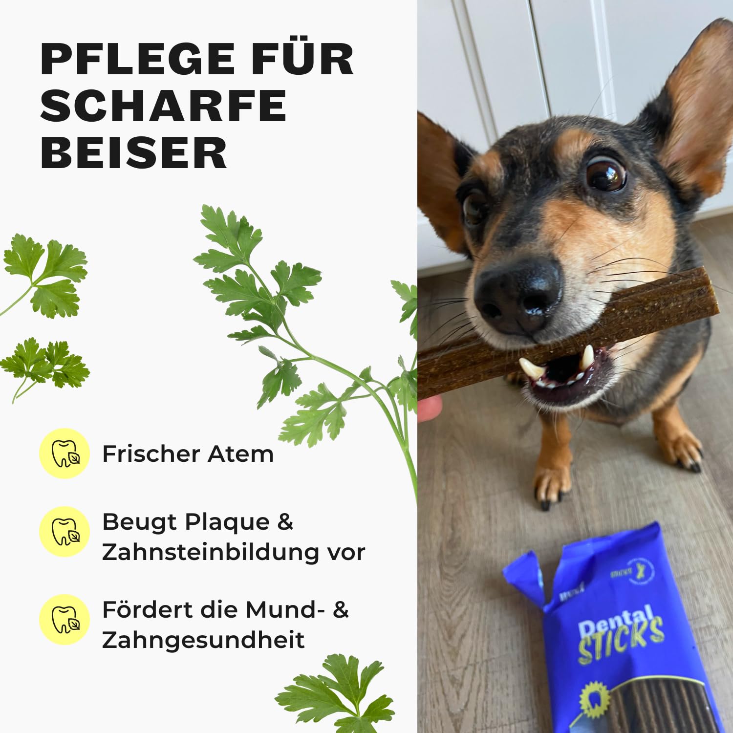HEY HOLY Dental Sticks für Hunde | 8x180g Hundeleckerli zur täglichen Zahnpflege | Schutz für Zähne & Zahnfleisch | 100% natürliche, getreidefreie Inhaltsstoffe (56 Sticks)