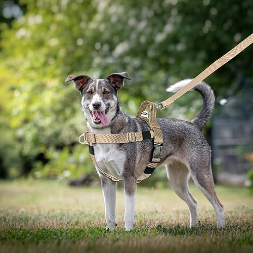 Miniatura 13 de Arnés para perro con asa para perros pequeños, medianos y grandes, ajustable y ligero, sin tirones, arnés de chaleco fácil de caminar (negro, S)