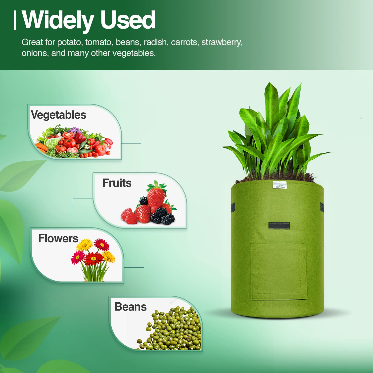 Bolsas de Cultivo de Patatas, Paquete de 2 Bolsas de Cultivo de Tomates de 10 galones, Bolsas de Plantas para Patatas, Tomates, Zanahorias, Flores, Verduras (Green Pack of 2)