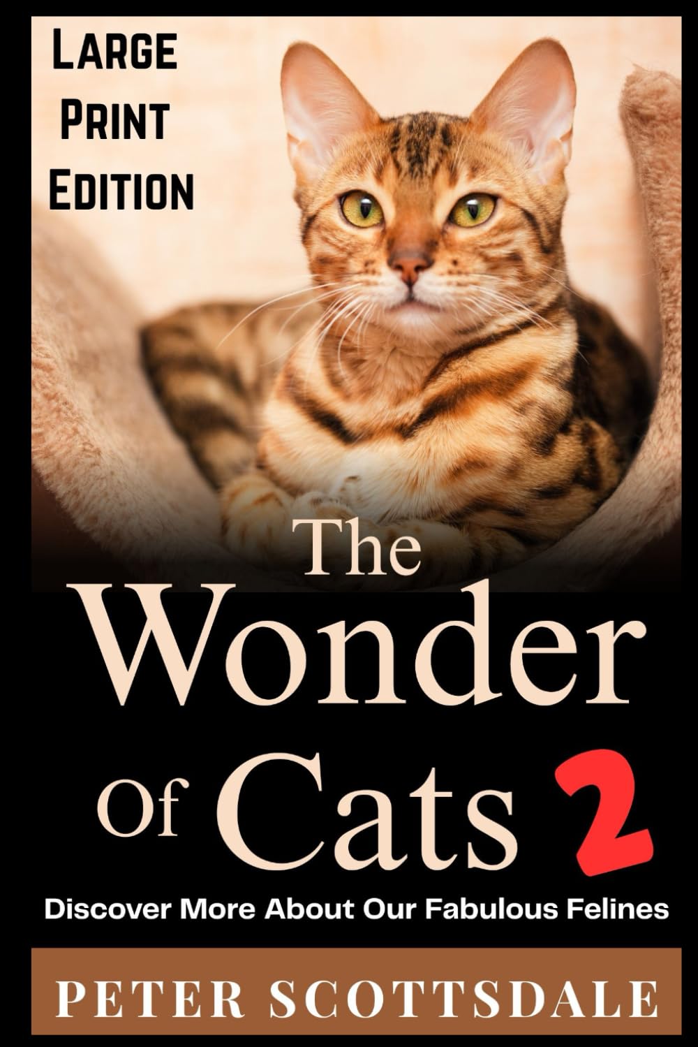 The Wonder of Cats 2: Discover More About Our Fabulous Felines (Scottsdale's Large Print Cat Books)
