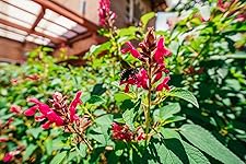 Review Image by Ignacio Guzmán