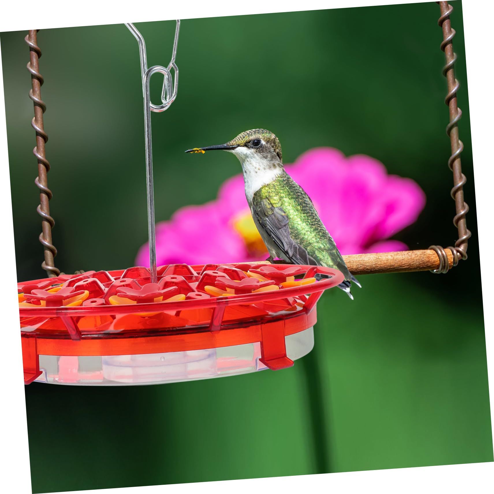 HANABASS 4piezas Comedero De Pájaros Colgante Forma De Flor Alimentador De Aves para Jardín Balcón y Exterior Fabricado Seguro y Resistente Caídas y Viento