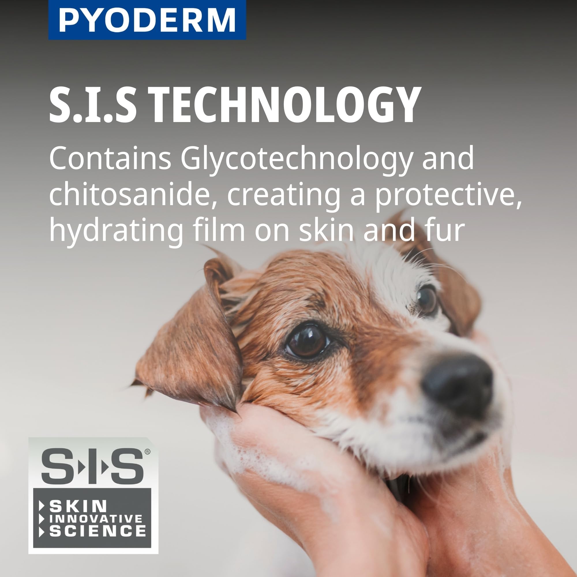 Pyoderm Champú Dermatológico 250ML para Pieles con Desequilibrio Microbiano para Perros Y Gatos