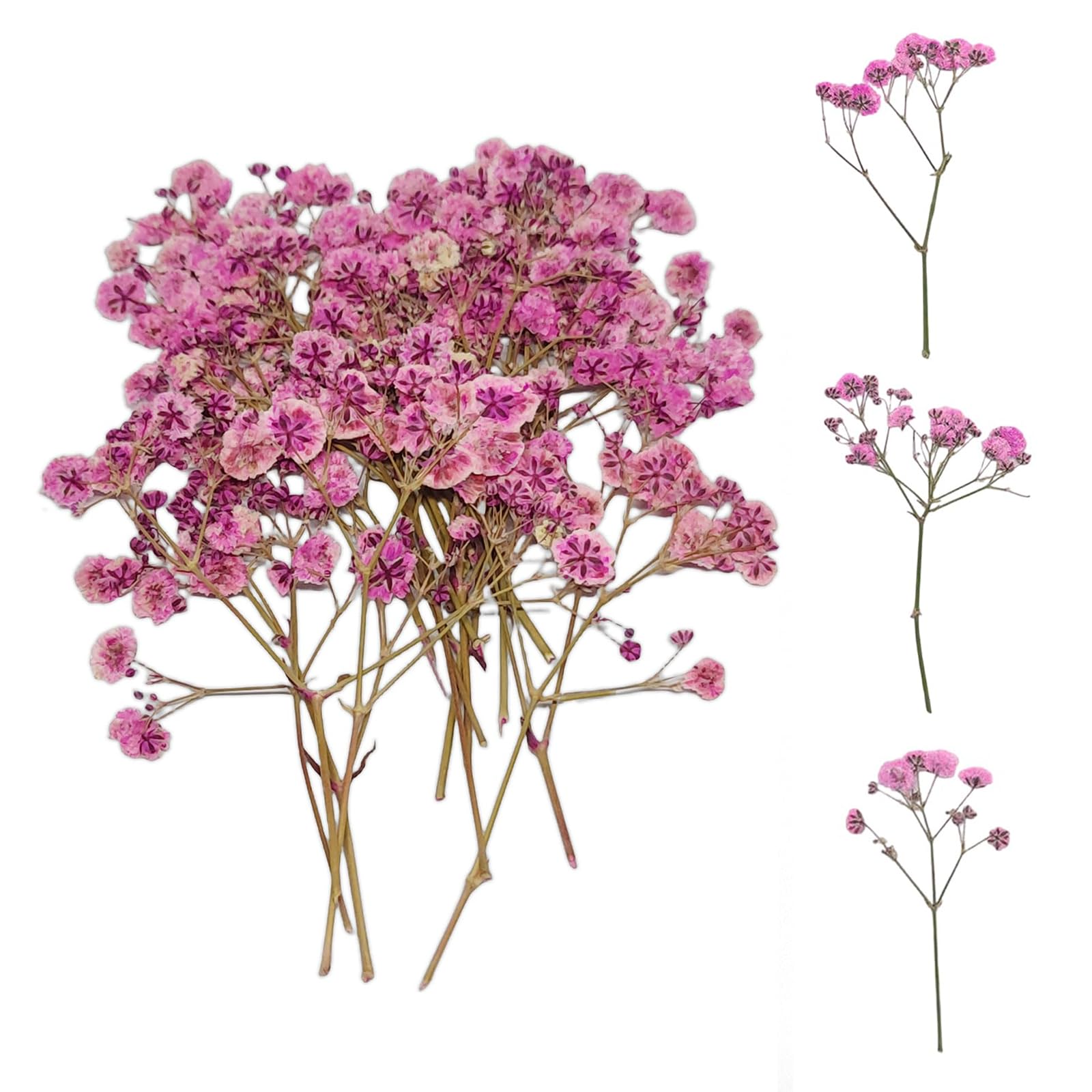 50 Fiori Secchi Gypsophila Rosa - Baby's Breath Naturale Per Candele, Resina E Artigianato - Foto 9