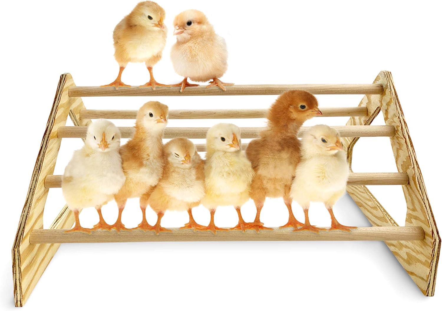 Backyard Barnyard Chick Perch Strong Wooden Jungle Gym Roosting Bar Made in USA!!! Chicken Toys for Coop and Brooder for Baby Chicks El Pollitos La Pollita Pollos Gallinas Polluelos